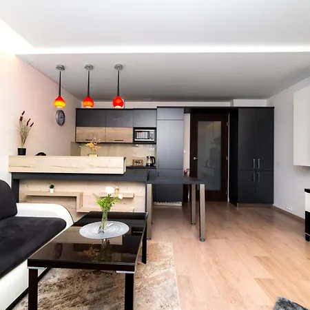 New Beautiful In The Center Of With Option Garage Parking Apartamento Ostrava