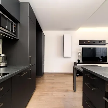 New Beautiful In The Center Of With Option Garage Parking Apartamento Ostrava