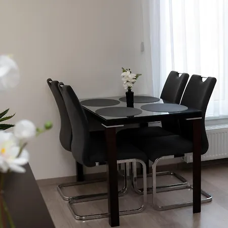 Lejlighed New Beautiful In The Center Of With Option Garage Parking Ostrava