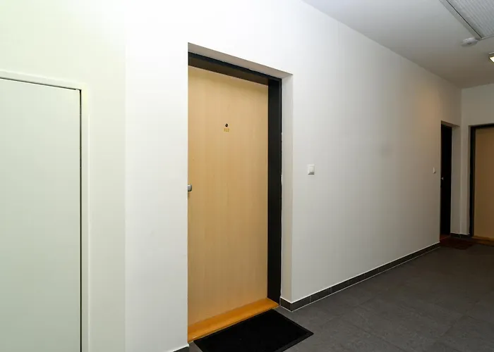 Apartmán New Beautiful In The Center Of With Option Garage Parking *