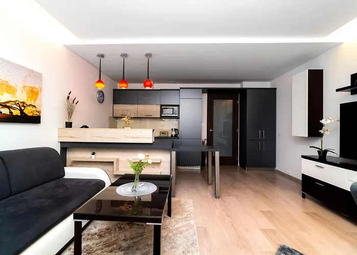 New Beautiful In The Center Of With Option Garage Parking Apartmán Ostrava